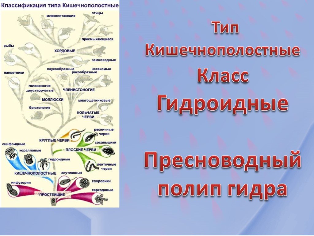 Кракен через впн