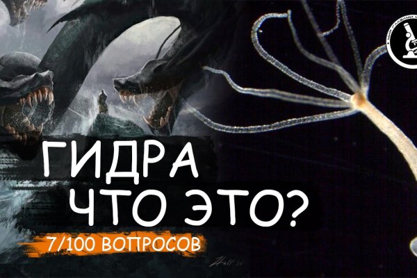 Гидра в даркнете