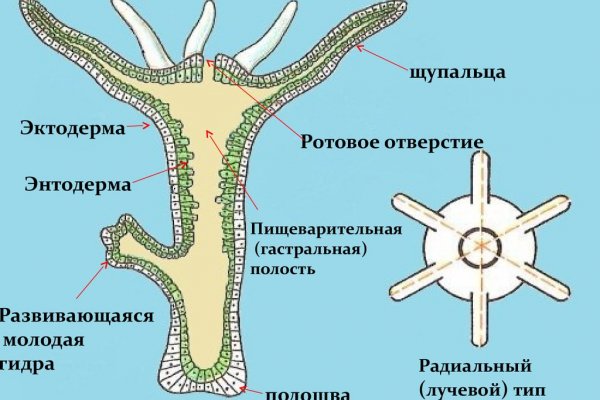 Как перейти на кракен