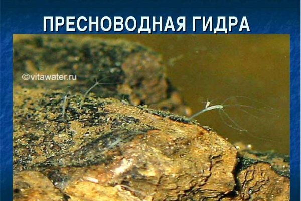 Kraken наркотики сайт