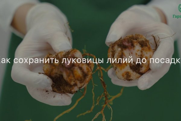 Kraken istand onion