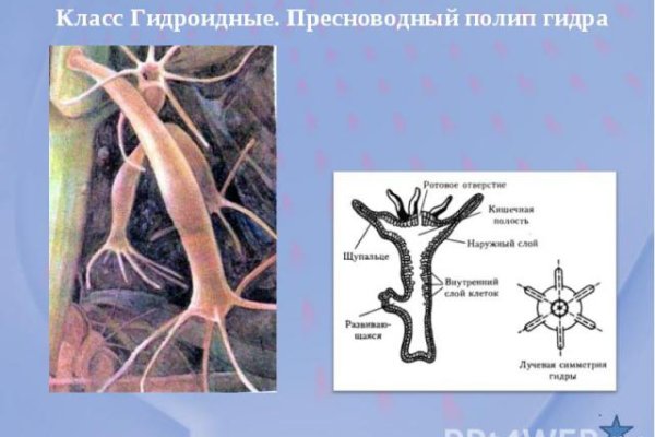 Кракен даркнет только через