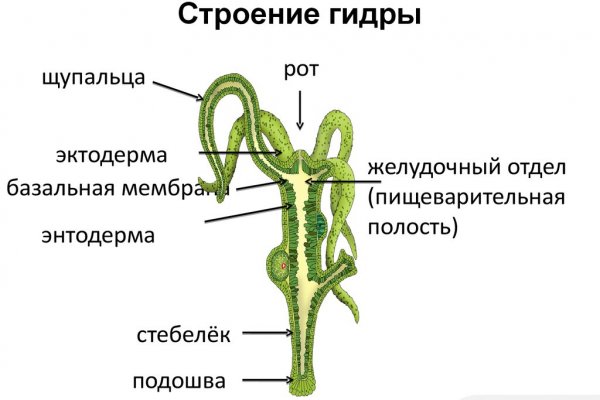 Кракен зеркало прокатис