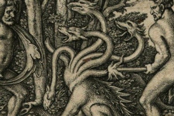 Kraken official