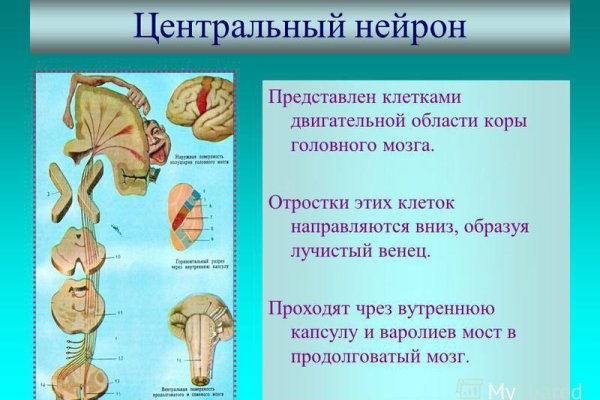 Kraken рабочее зеркало