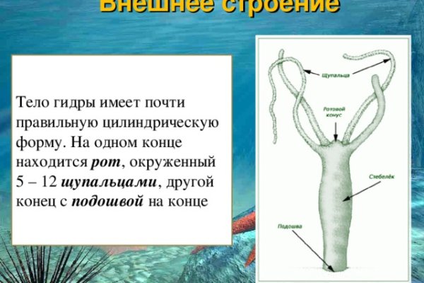 Kraken зеркало krakentor site