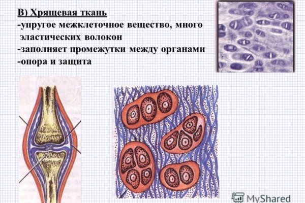 Kraken ссылка на сайт актуальная