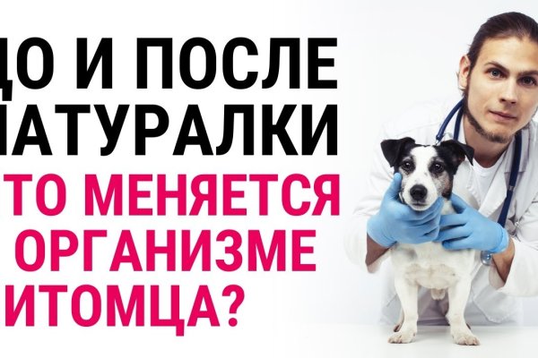 Не могу зайти на сайт кракен